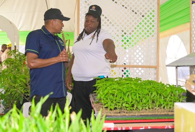 Agriculture Ministry Boosting Partnership with Agro Investment Corporation