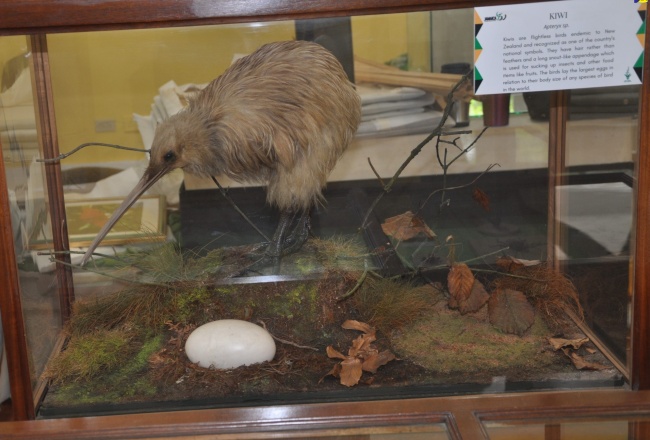 Jamaica 61 Exhibition and Reception at King’s House