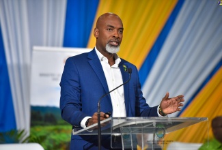 Chief Executive Officer of the Forestry Department and Conservator of Forests, Ainsley Morris, addresses the Ministry of Economic Growth and Job Creation’s virtual townhall on the Draft Watershed Policy, on Tuesday, July 18.