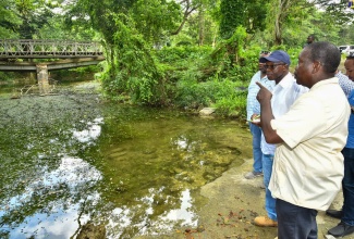 Minister Without Portfolio with Responsibility for Works, Ministry of Economic Growth and Job Creation, Hon. Clifford Warmington (second right), and Member of Parliament, St. Mary Western, Robert Montague (right) discuss the state of the Eden River Bridge, during a tour of the area on Wednesday (July 26).