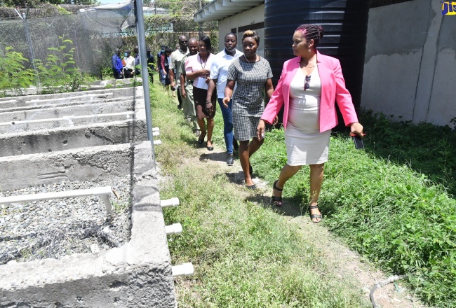 Gov’t Focused on Rehabilitation of Juvenile Offenders