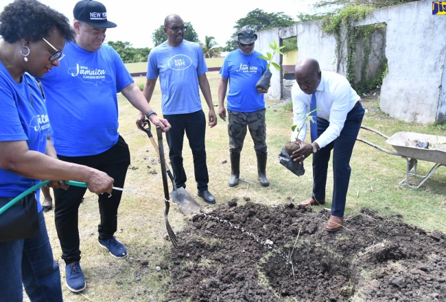 PHOTOS: Minister Charles Jr At A Tree-Planting Initiative