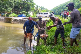Residents of Bog Walk Gorge area of St. Catherine assist in the restocking of the Rio Cobre River with fingerlings on June 30. The activity was undertaken by UC Rusal, under the observation of the National Fisheries Authority (NFA) in the Ministry of Agriculture, Fisheries and Mining, and the National Environment and Planning Agency (NEPA).