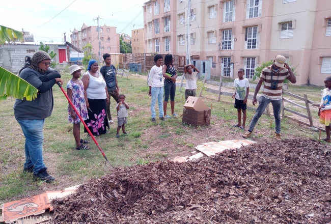 Participants in the FAO Inclusive and Resilient Agri-Food System in Rural and Peri-Urban Territories of Kingston Project were upskilled on the best practices in agriculture.