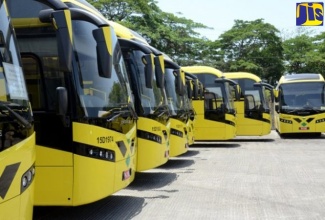 Jamaica Urban Transit Company (JUTC) buses. 