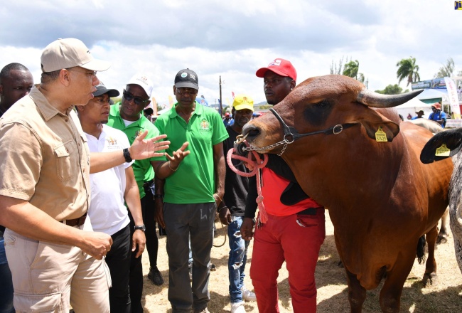 Special Task Force to Tackle Praedial Larceny