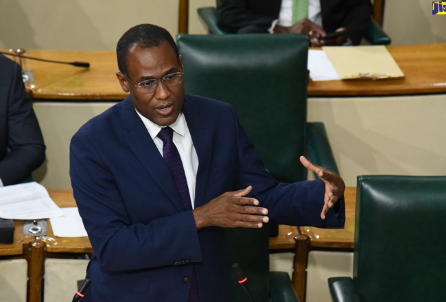 House Begins Debate on Amendment to Child Care and Protection Act