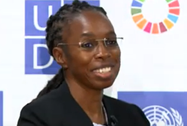 NEPA and UNDP Join Forces to Reduce POPs