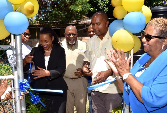 Vegetable Garden Established at Best Care Special Education School