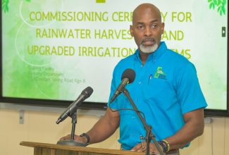 Chief Executive Officer (CEO) of the Forestry Department and Conservator of Forests, Ainsley Henry.