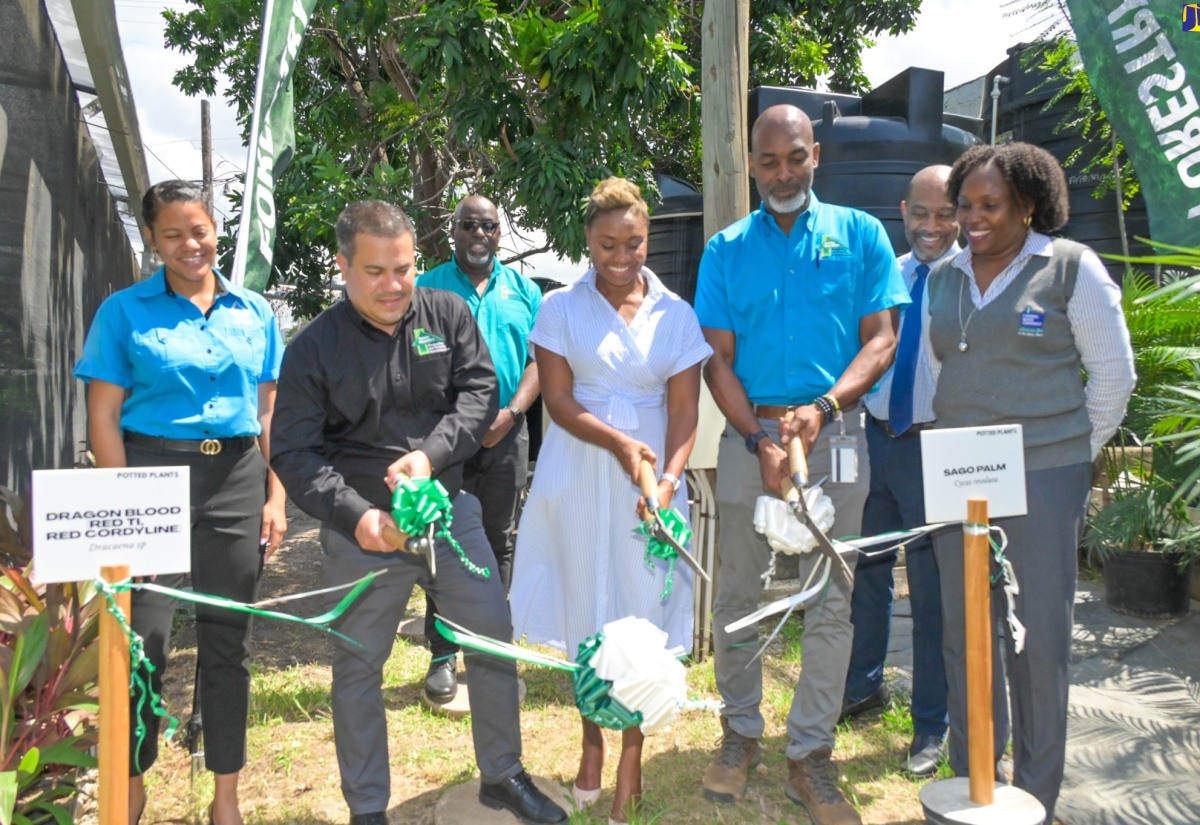 Rainwater Harvesting and Upgraded Irrigation Systems Commissioned at Forestry Department Nurseries