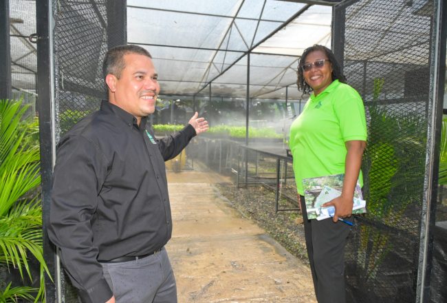 Rainwater Harvesting and Upgraded Irrigation Systems Commissioned at Forestry Department Nurseries