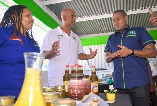 Minister of Agriculture, Fisheries and Mining, Hon. Floyd Green (right), interacting with Chief Plant Protection Officer in the Ministry’s Apiculture Unit, Hugh Smith (centre), and Health and Life Coach and Managing Director, Pure Natural Mystik, Christine Ryan, during this year’s staging of the Denbigh Agricultural, Industrial and Food Show in Clarendon.

