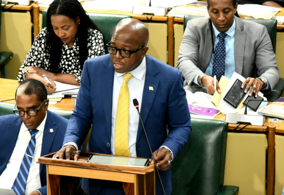 Minister of Labour and Social Security, Hon. Pearnel Charles Jr., makes a Statement in  the House of Representatives on September 19.