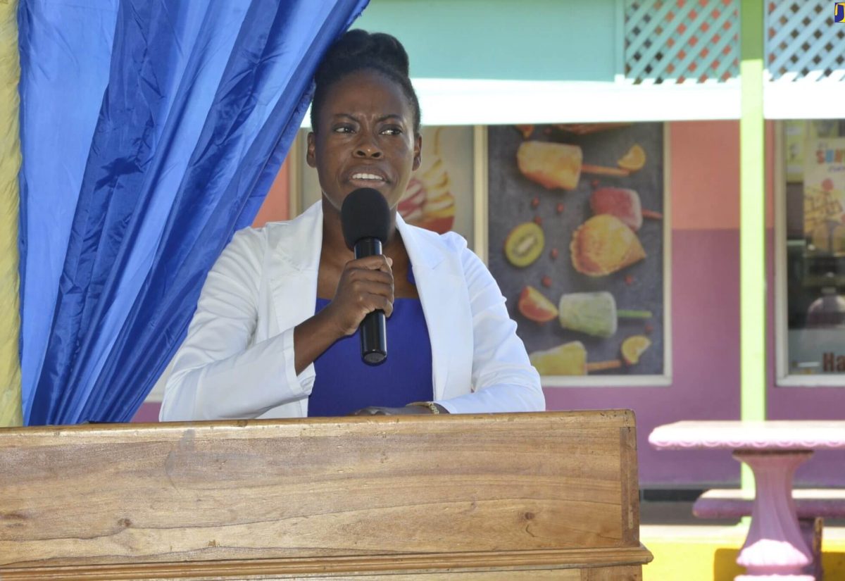 Multipronged Approach in St. Ann to Tackle Dengue