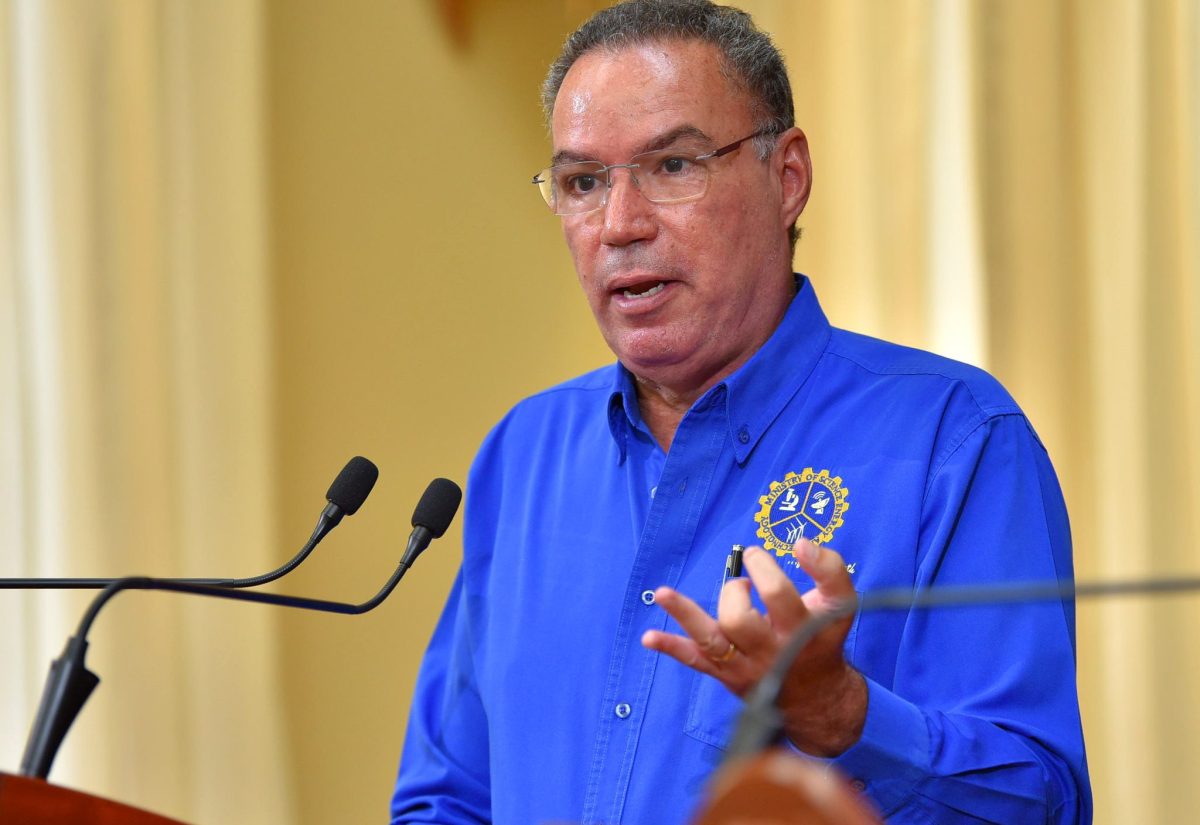 Committee Reviewing Cybercrimes Act Recommends Stricter Penalties for Offences Against Children
