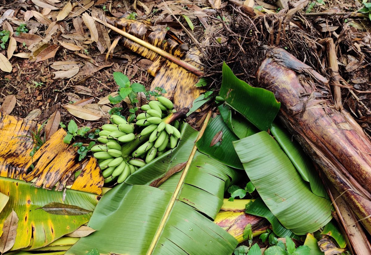 RADA Reminds Farmers to Report Damage After Natural Hazards
