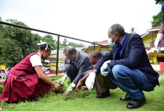 Ambassador of Japan to Jamaica, His Excellency Yasuhiro Atsumi (second left), is assisted by Grade Six Mannings Hill Primary School students, Zinoviea Hughes (left), and Raynor Gordon, during a tree planting exercise at the institution on Friday (October 6). Looking on is Senior Technical Advisor, Ministry of Economic Growth and Job Creation, Clehan Williams. The exercise was held in observance of National Tree Planting Day.

