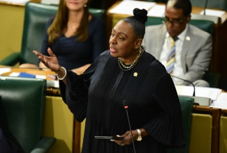 Minister of Culture, Gender, Entertainment and Sport, Hon. Olivia Grange, speaks during a recent sitting of the House of Representatives.

