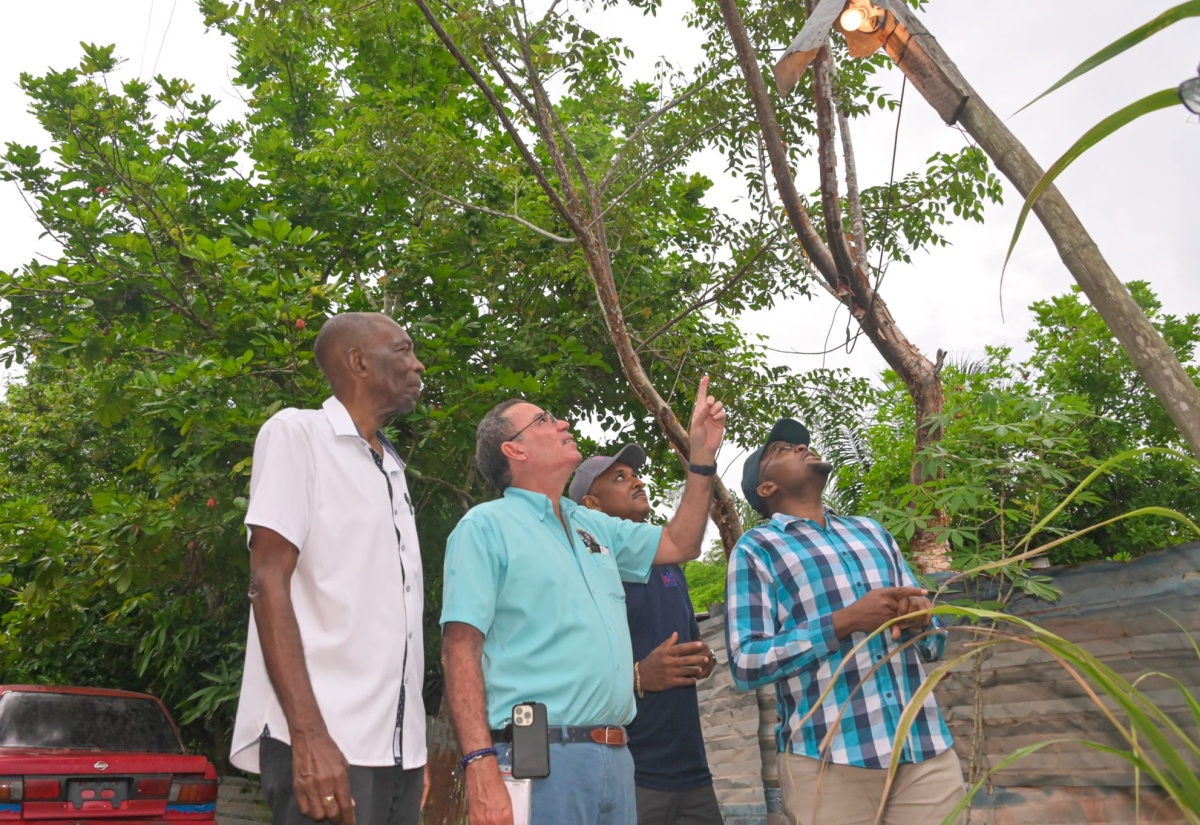 More Residents in Clarendon North Central to Get Electricity