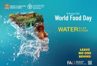The Ministry of Agriculture, Fisheries and Mining in collaboration with the Food and Agriculture Organization (FAO) will be hosting a World Food Day ceremony and exposition at the Newell High School in St. Elizabeth on Thursday, October 19, 2023.