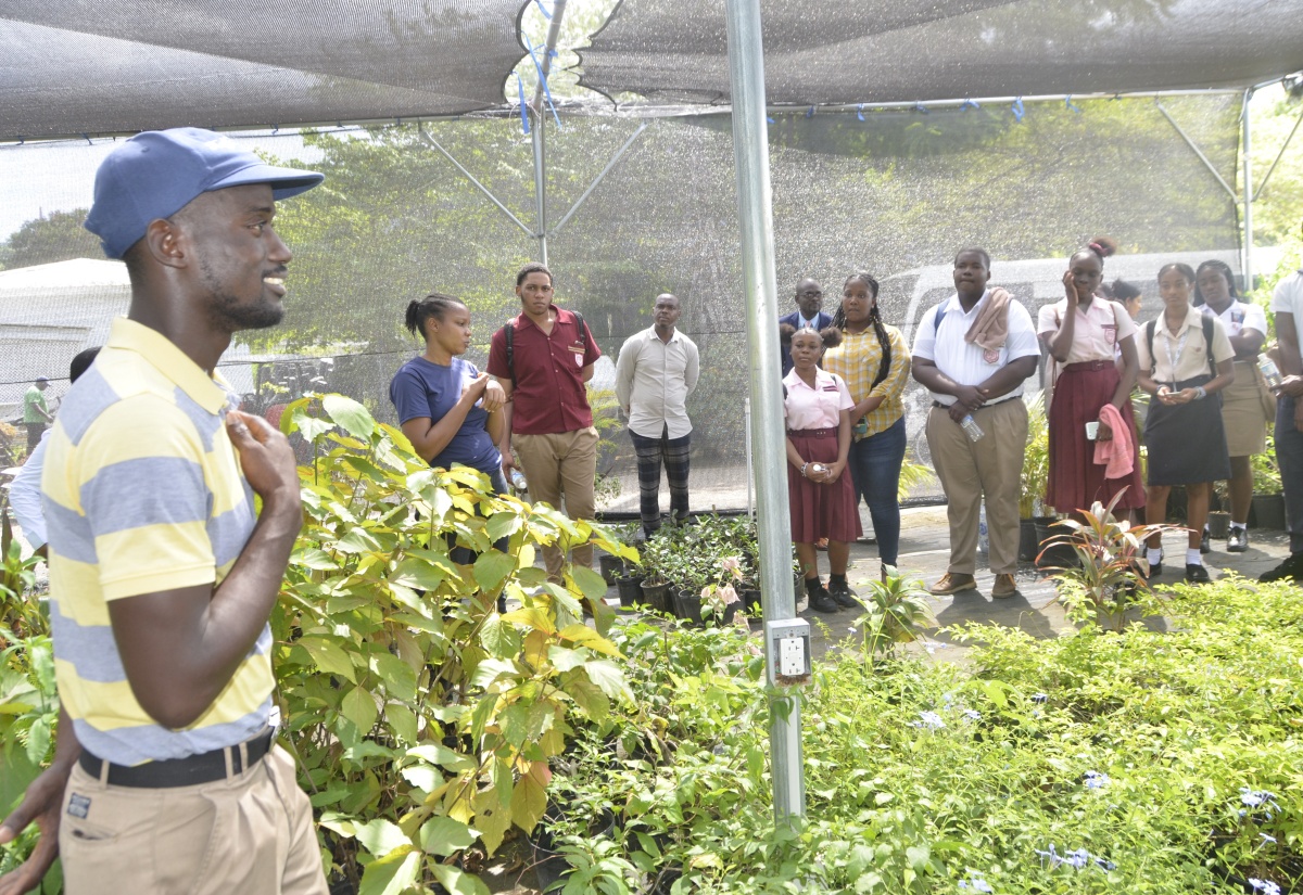 Assistant Landscaping Manager at the Half Moon Resort in St. James, Navardo Mighten (left), gives students and their teachers participating in the Montego Bay Chamber of Commerce and Industry (MBCCI) Farm to Table initiative a tour of the establishment’s plant nursery and farm on October 27.