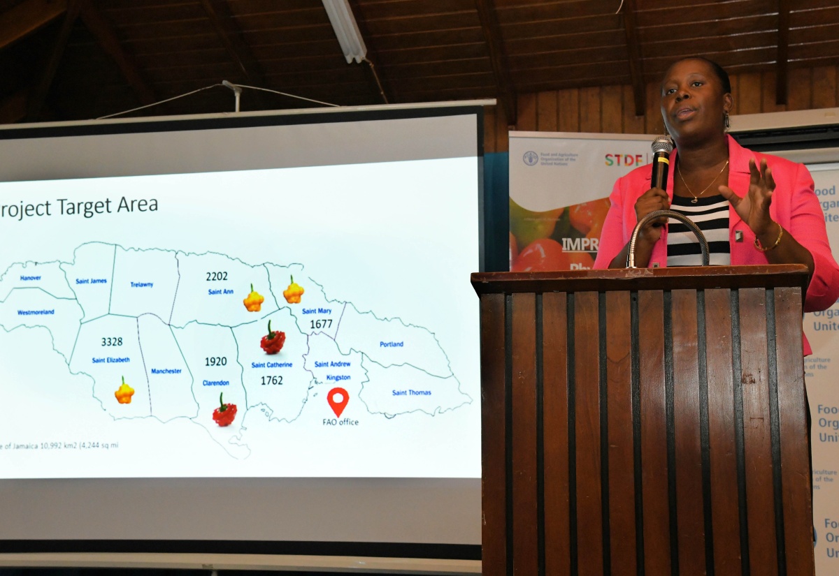 PHOTOS: FAO Hot Pepper Project Stakeholder Validation Session