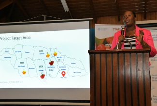 National Project Manager, Sanniel Wilson-Graham, addresses a validation session for the Hot Pepper Status Report and the Market Assessment Report for the ‘Improving Phytosanitary, Food Safety and Market Access Opportunities along the Hot Pepper Value Chain in Jamaica’ project. The session was held on Wednesday (October 18) at the Bureau of Standards Jamaica (BSJ) Multi-Purpose Room in Kingston.

