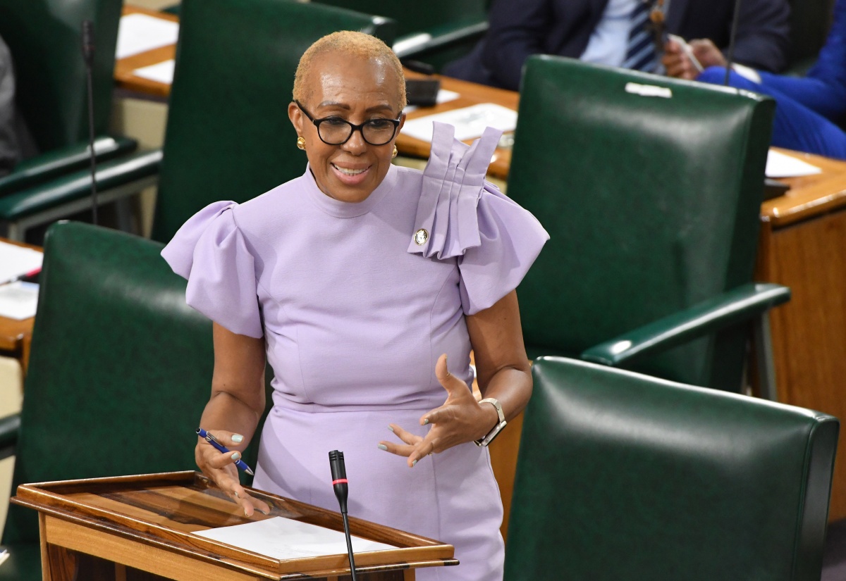 More CCTV Cameras to be Installed in St. Andrew Eastern