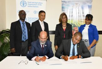 Minister of Agriculture, Fisheries and Mining, Hon. Floyd Green (right); and Food and Agriculture Organization of the United Nations Representative for Jamaica, The Bahamas and Belize, Dr. Crispim Moreira (left), sign the letter of agreement for the Improving Rural Livelihoods Through Resilient Agri-Food Systems project during the launch ceremony held on October 3 at The Jamaica Pegasus hotel in New Kingston. Observing the proceedings are (from left, back row): Chief executive Officer, Rural Agricultural Development Authority (RADA), Winston Simpson; High Commissioner of India to Jamaica, His Excellency Masakui Rungsung; Permanent Secretary in the Ministry of Industry, Investment and Commerce, Sancia Bennett Templer; and National Project Manager, Princess Lee.