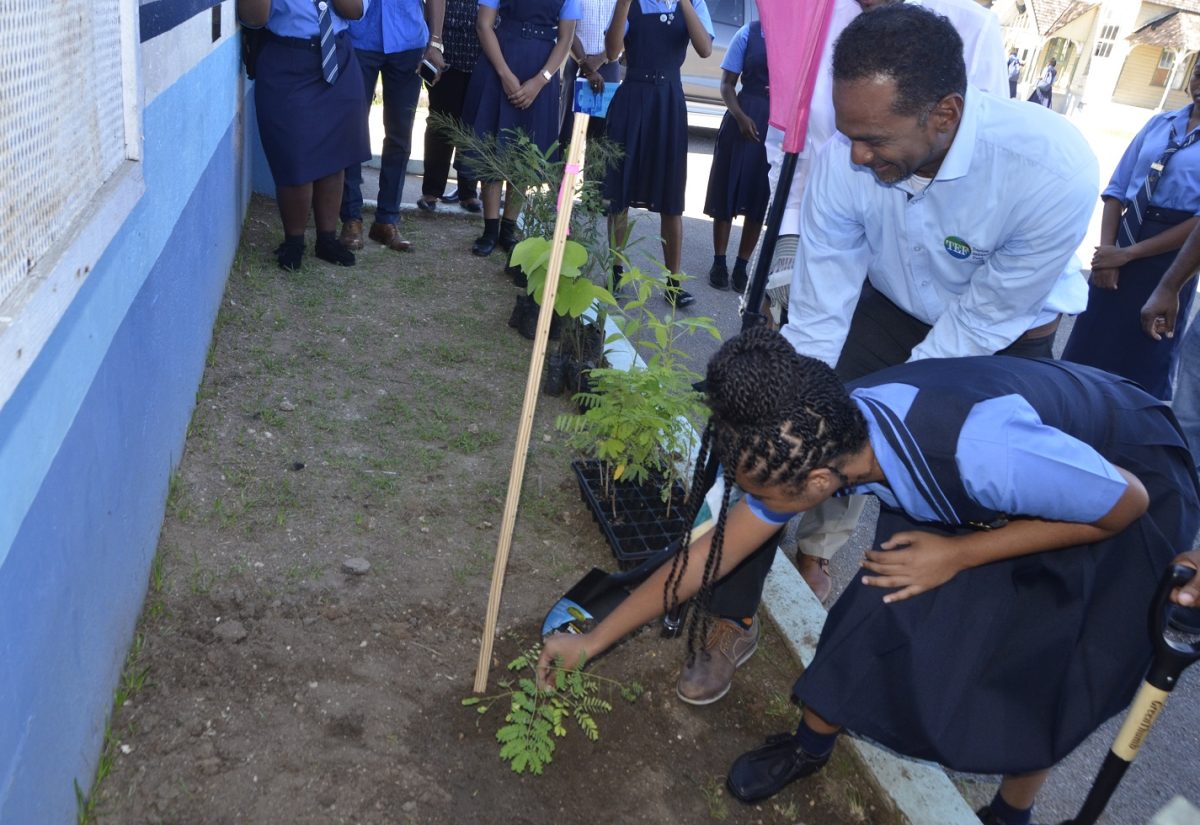 Tourism Industry Can Create Wealth- Dr. Wallace