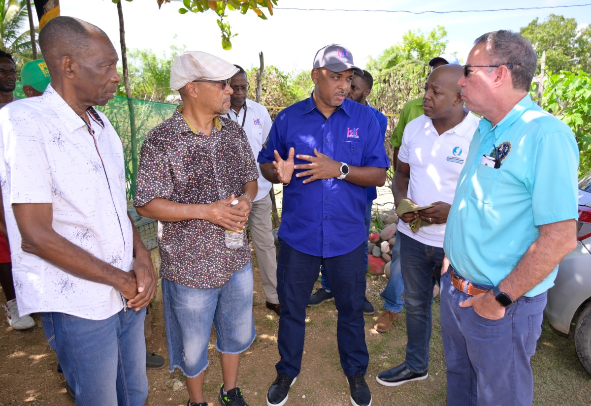 Houses of More Than 200 Residents of Clarendon South East to be Wired