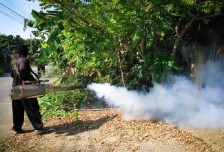 Fogging is among activities being undertaken in Kingston and St. Andrew to contain the spread of dengue.

