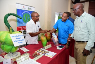 Minister of Agriculture and Fisheries, Hon. Floyd Green (centre), and Chief Technical Director, Orville Palmer (right), look on as Certification and Compliance Officer in the Ministry, Fitzroy Gordon, explains the characteristics of stem end rot in fruits. Occasion was the ‘New FACE of Food’ stakeholder engagement session at Casa Maria Hotel in St. Mary on November 23. The island-wide meetings aim to promote new investment opportunities in agriculture.

