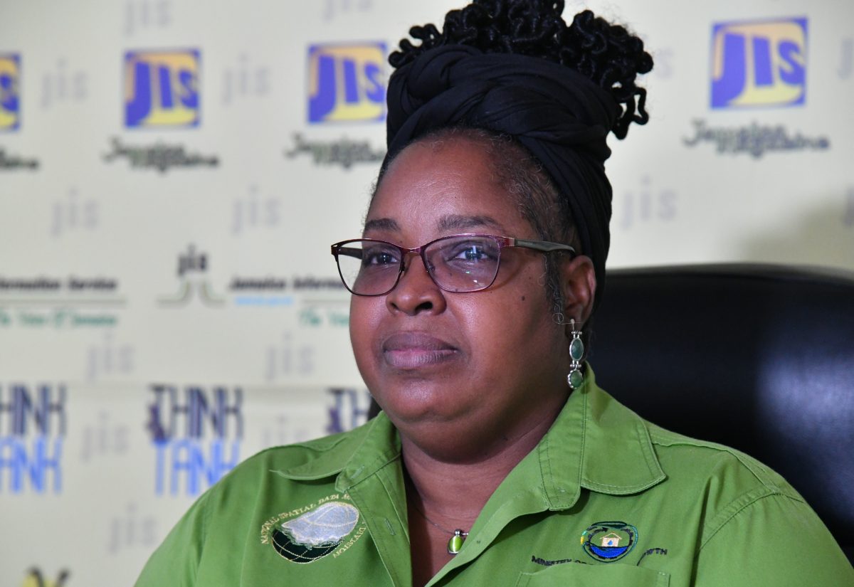 Principal Director (Acting) of the National Spatial Data Management Branch, Simone Lloyd, speaks at a recent Jamaica Information Service (JIS) Think Tank.

