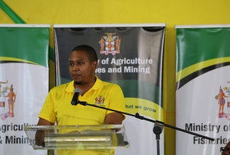 Minister of Agriculture, Fisheries and Mining, Hon. Floyd Green, delivers the keynote address during a national ‘Eat Jamaican Day’ ceremony at the College of Agriculture, Science and Education (CASE) in Portland on November 24.

