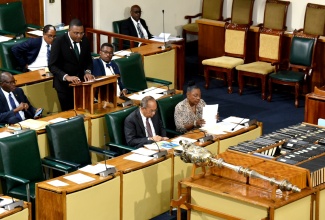 Minister with responsibility for Information, Hon. Robert Morgan makes a statement in the House of Representatives on November  28.

