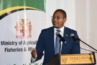 Minister of Agriculture, Fisheries and Mining, Hon. Floyd Green, addresses Thursday’s (November 2) Plant Quarantine Produce Inspection (PQPI) Accreditation Recognition Ceremony at the Terra Nova All-Suite Hotel in Kingston.

