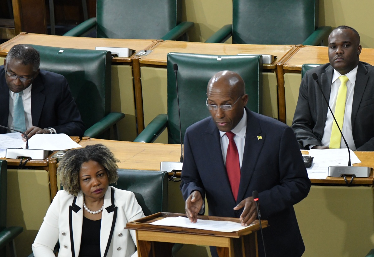 Minister of Industry, Investment and Commerce, Senator the Hon. Aubyn Hill, addresses the Senate on Friday (November 3).

