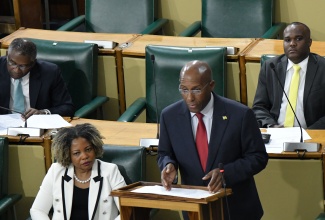 Minister of Industry, Investment and Commerce, Senator the Hon. Aubyn Hill, addresses the Senate on Friday (November 3).

