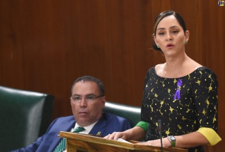 Member of Parliament for East Portland, Ann-Marie Vaz, makes her contribution in the House of Representatives. 