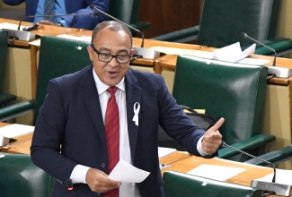 Minister of Health and Wellness, Dr. the Hon. Christopher Tufton, delivers statement to the House of Representatives on Tuesday (November 21).

