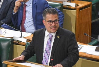 Minister without Portfolio in the Ministry of Economic Growth and Job Creation, Senator the Hon. Matthew Samuda, addresses a recent sitting  of the Senate. 

