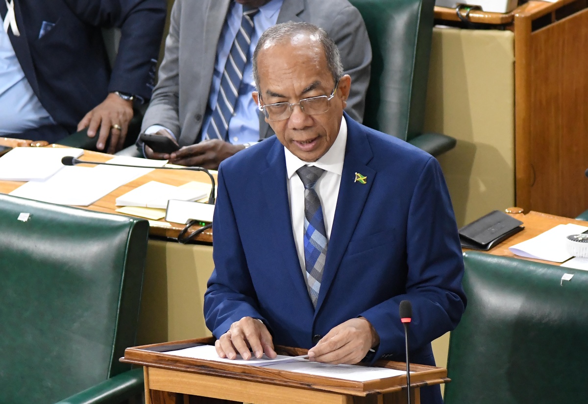Minister of National Security and Deputy Prime Minister, Hon. Dr. Horace Chang, makes a statement to the House of Representatives on Tuesday (November 21).