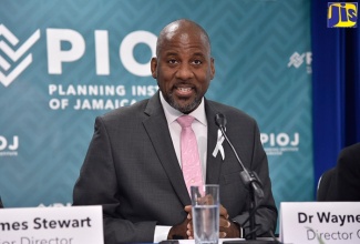 Director General, Planning Institute of Jamaica (PIOJ), Dr. Wayne Henry.

