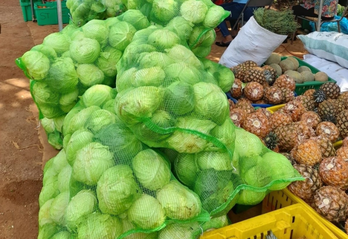 Price Decrease Expected for Some Fruits and Vegetables Soon
