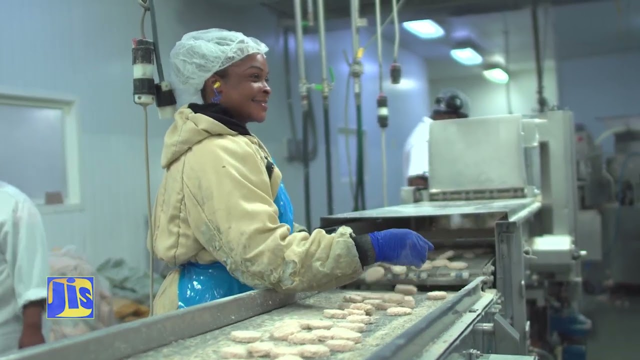 Integrating Human Resources into The Labour Force |