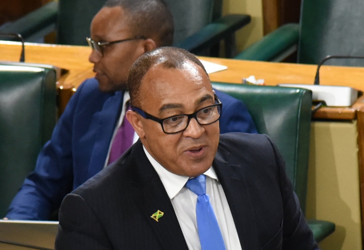 Minister of Health and Wellness, Dr. the Hon. Christopher Tufton, speaks in the House of Representatives on November 14.

 