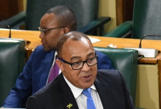 Minister of Health and Wellness, Dr. the Hon. Christopher Tufton, speaks in the House of Representatives on November 14.