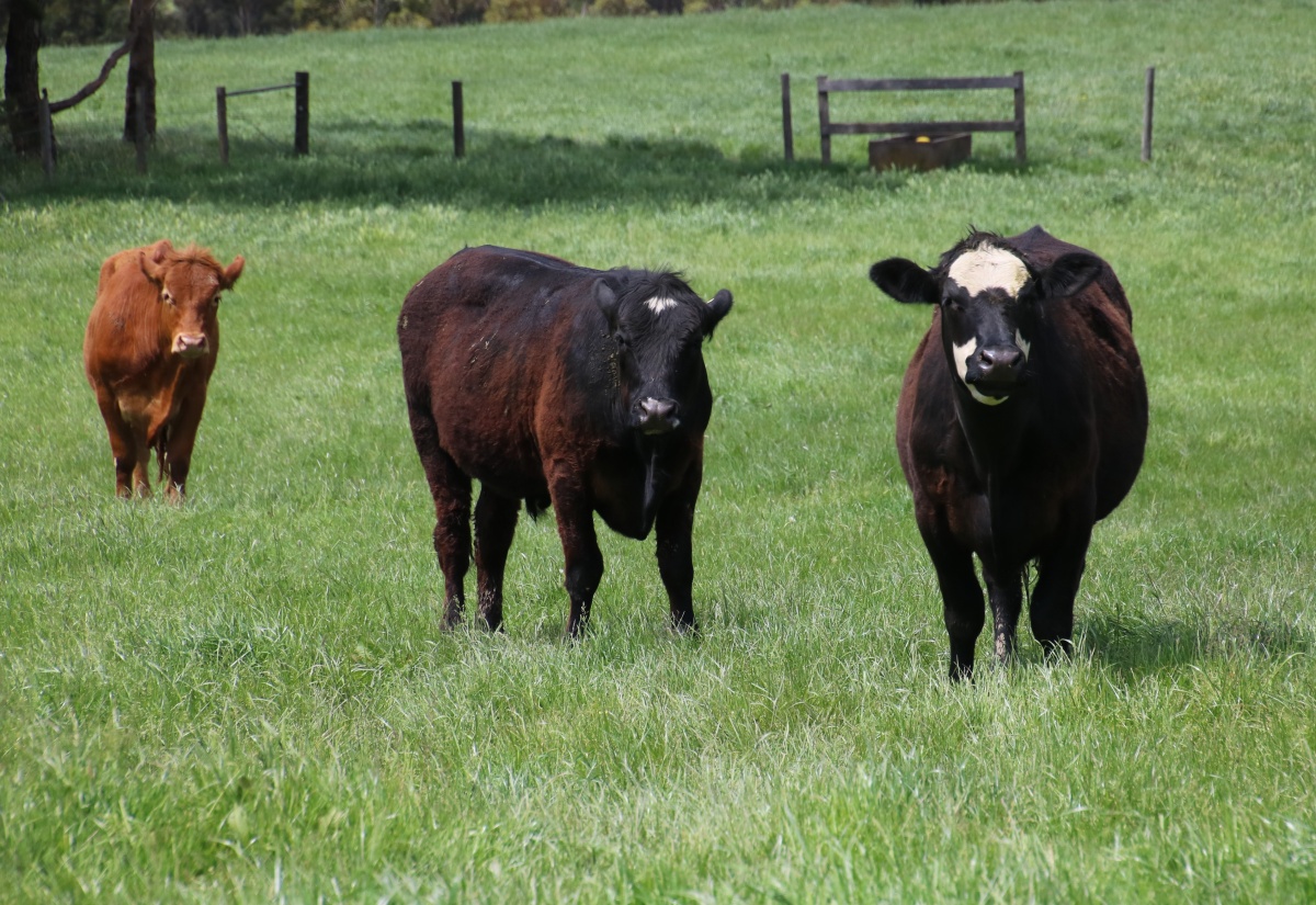 Farmers Encouraged to Use Technology to Prevent Farm Theft